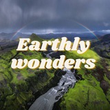 ๐ EARTHLY WONDERS ๐