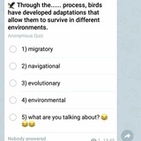 تست زبان انگلیسی English Quiz