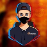 Tforex ✅