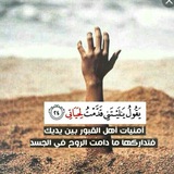 سورة الملك. ♥