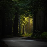 Парки и Скверы 🌳