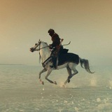 مالك المهدي