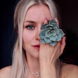 Succo_mother суккуленты