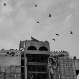 رماد الذاكرة ♥️.