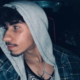 Arashmusic 🕊