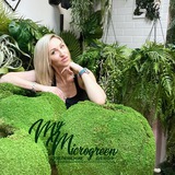 Озеленение 🌱 Декор 🌱 Мох 🌱 Обучение