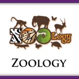 SG Zoology