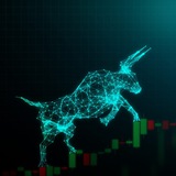 Forex Trader Number One