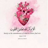 رسائل قرآنية 🌿