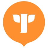 tochkapsy