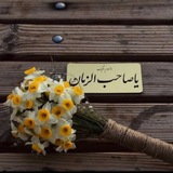 زهراء