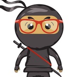 Ninja Nerd Videos