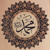 قناة || محمد محمود فكري