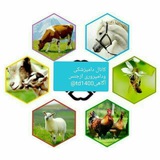 دامپزشکی و دامپروری از جنس آگاهی