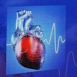 Medical Notes
