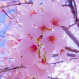 مَا يؤنسُ الروحَ سَلاماً. 💞