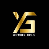 YoForex Gold 🪙