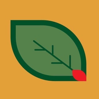 Iana.ir | خبرگزاری ایانا