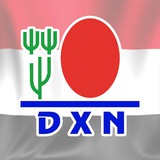 DXN-YEMEN