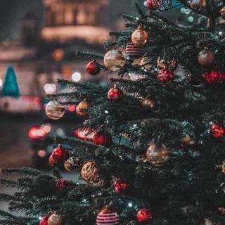 Колядки❤️