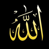 نورُ القلوبِ