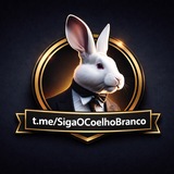 Coelho Branco 🐰 ✨