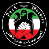 کمپین نبرد با مهاجمین افغانی