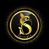 SPRING FX