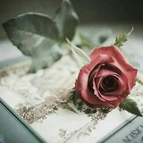 🌹🕊↜شــ❁ــذى الـعَـبَـرات↝🌹🕊