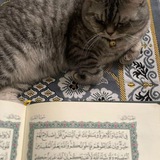 قرآن ، أذكار ، صوتيات ، أدعية رمضان تلاوة