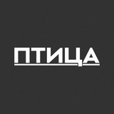 Птица | Медиа из Сибири