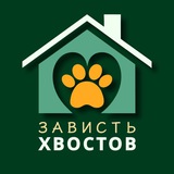 Приют 🐾 ЗАВИСТЬ ХВОСТОВ