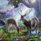 🌳 Unsere Heimath-Irtha 🦌