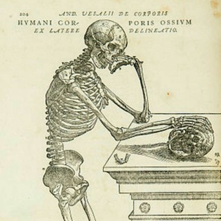 تشريح ANATOMY