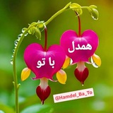 💞 همدل با تو 💞
