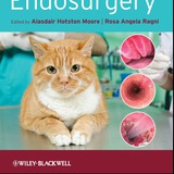 Dentalbooks