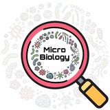 Speeducation - Microbiology