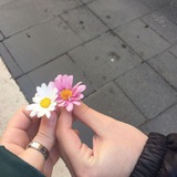 فعاليات ❤️ والعاب 🌿 واسأله