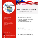 Study Abroad