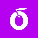 صندوق مختلط زیتون