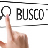 Busco Trabajo Sevilla