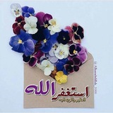 مملكة الاستغفار 💎 💎