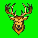Moose STATYMAI