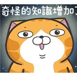 猫不腻资讯-Information