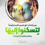 لتسكنوا إليها 💚