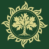 ЦЕНТР ОСНОВА