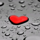 نَبّضُ الٌُخوَاطِرَ 💜