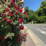 كَـلِـمَـاتْ رَاقِـيَـةٰ 🌷