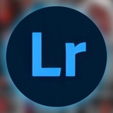 فلاتر لايت روم
