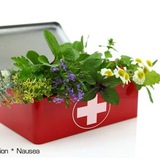 Herbs and Healing